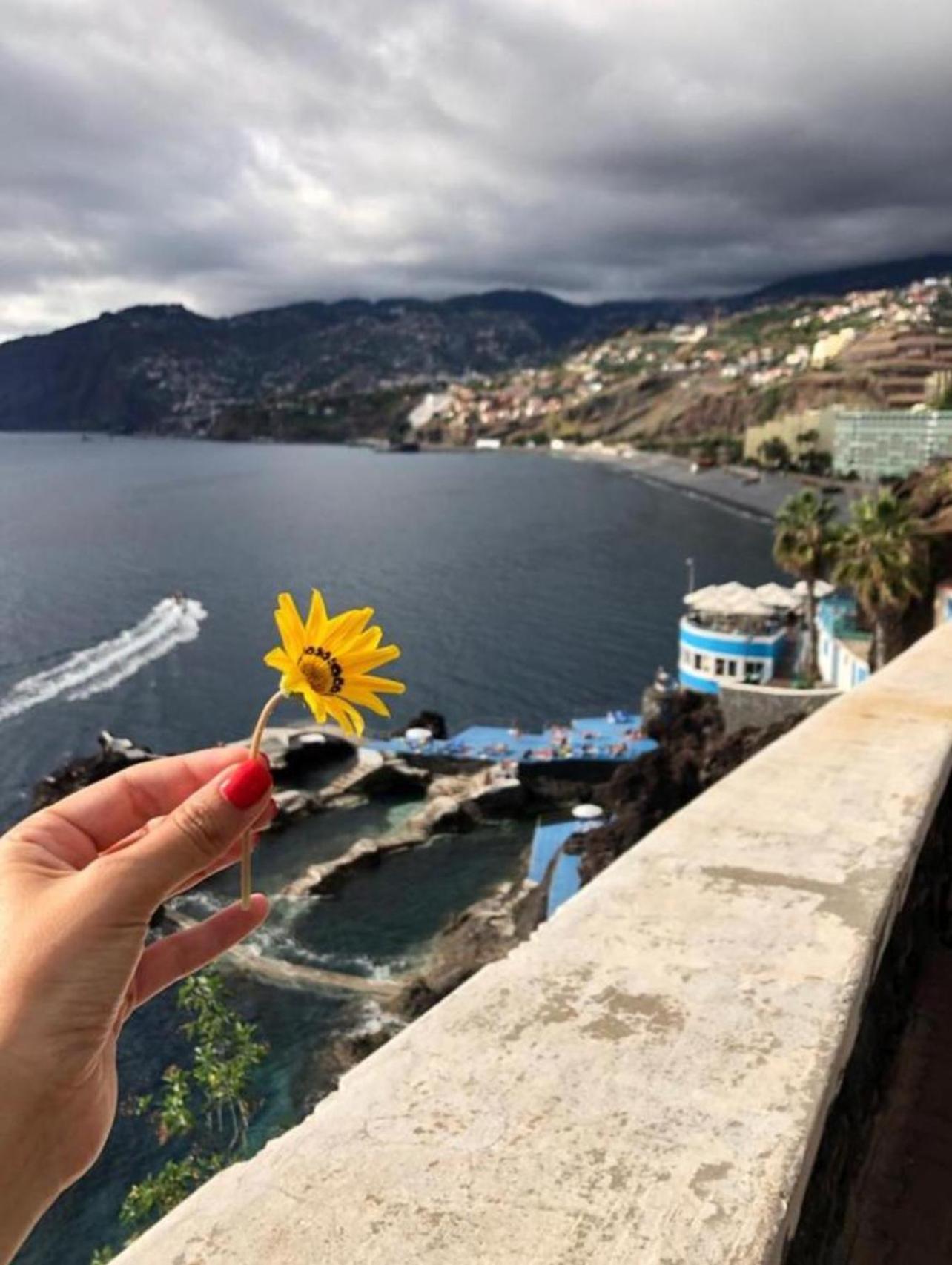 Madeira Residence Apartments T2 Funchal  Buitenkant foto